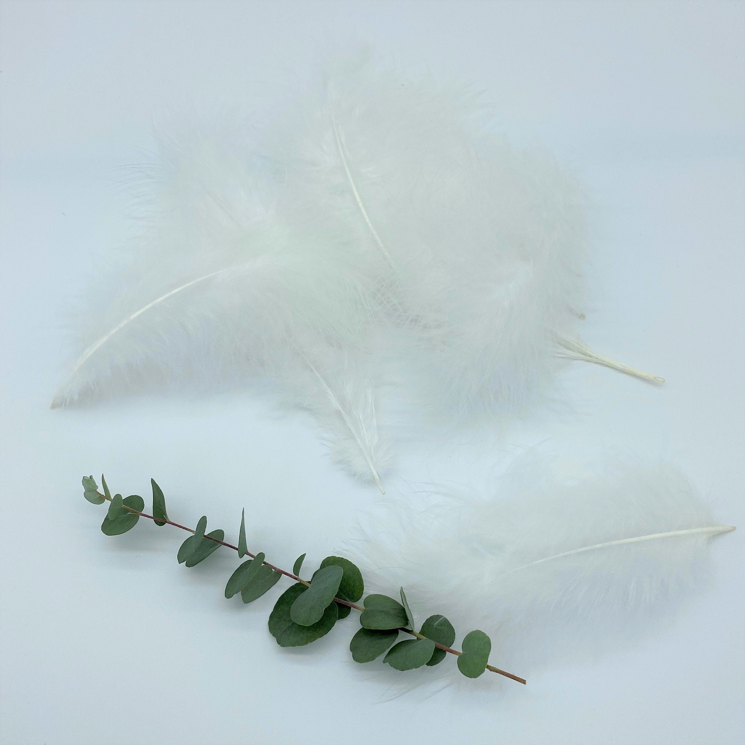 White Turkey Marabout Feathers DIY Art Crafts Floristry Displays Arrangements 8-12cm 3-5 inches - Tassel&Plume