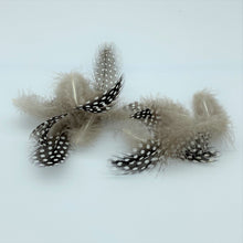 Load image into Gallery viewer, Loose Natural Guinea Fowl Feathers Crafts Hats Flowers Art 5-10cm 2-4 inches - Tassel&amp;Plume
