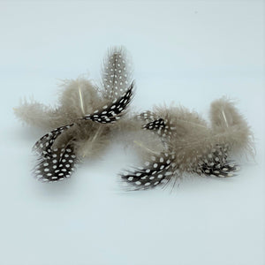 Loose Natural Guinea Fowl Feathers Crafts Hats Flowers Art 5-10cm 2-4 inches - Tassel&Plume