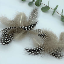 Load image into Gallery viewer, Loose Natural Guinea Fowl Feathers Crafts Hats Flowers Art 5-10cm 2-4 inches - Tassel&amp;Plume

