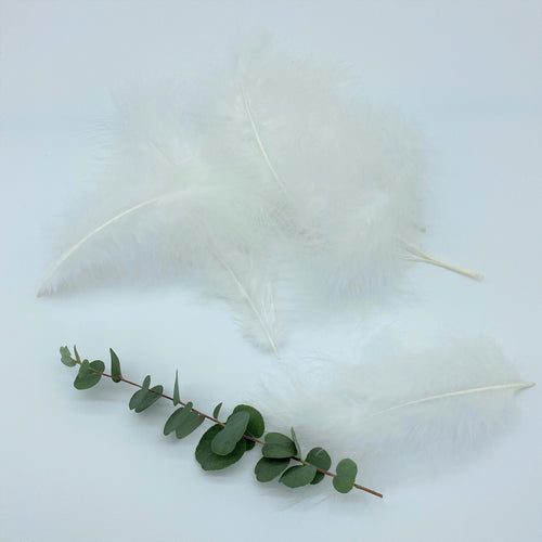 White Turkey Marabout Feathers DIY Art Crafts Floristry Displays Arrangements 8-12cm 3-5 inches - Tassel&Plume